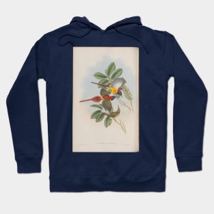 Three birds Hoodie